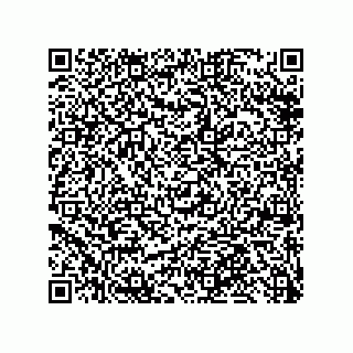 vCard 79999400324