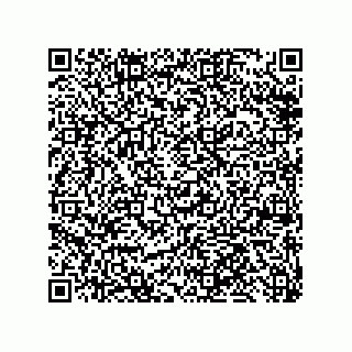 vCard 79999400329