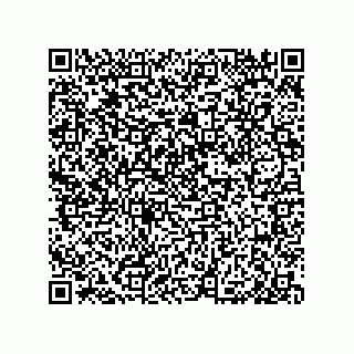 vCard 79999400330