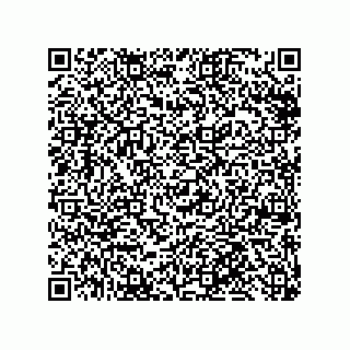 vCard 79999400331