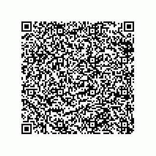 vCard 79999400332
