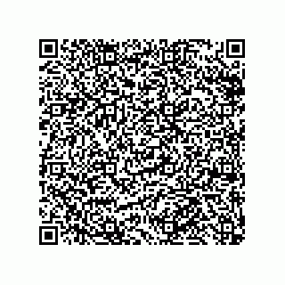 vCard 79999400333