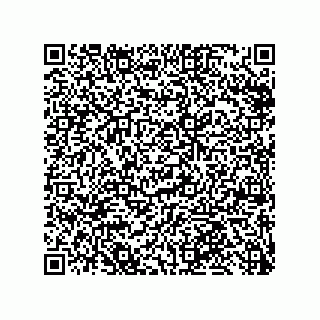 vCard 79999400334