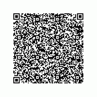 vCard 79999400335