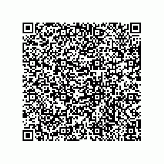 vCard 79999400336