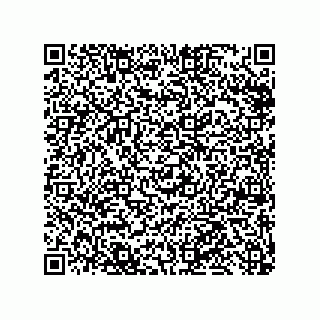 vCard 79999400337