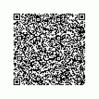 vCard 79999400338