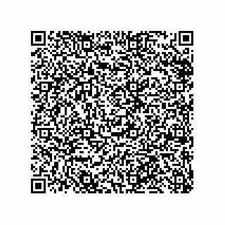 vCard 79999400355