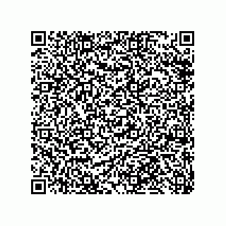 vCard 79999400369