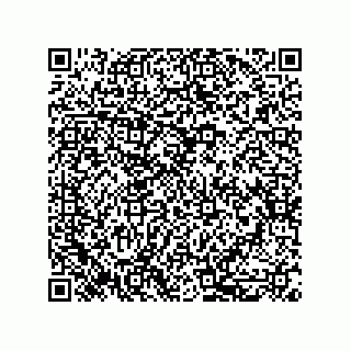 vCard 79999400374