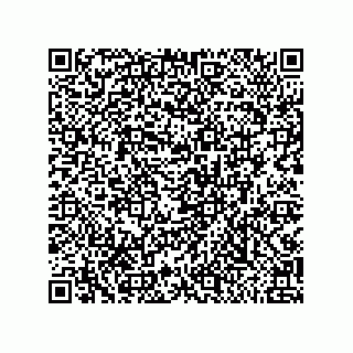 vCard 79999400380