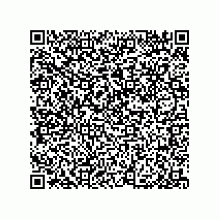 vCard 79999400381