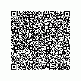 vCard 79999400382
