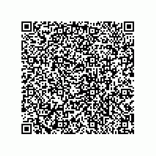 vCard 79999400383