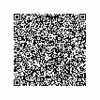 vCard 79999400384