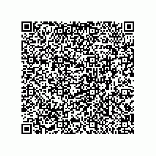 vCard 79999400385