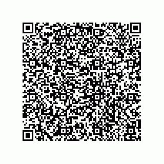 vCard 79999400386