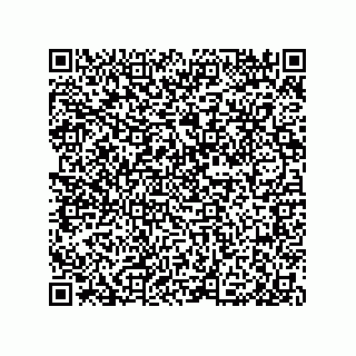 vCard 79999400387
