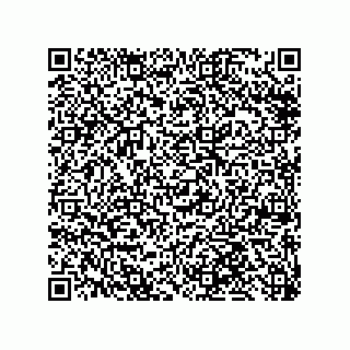 vCard 79999400388