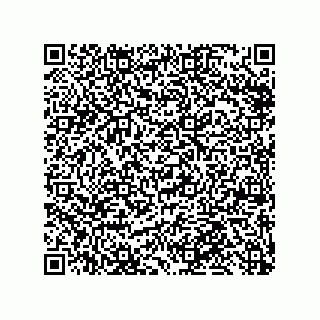 vCard 79999400392