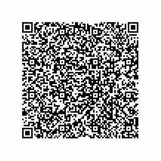 vCard 79999400395