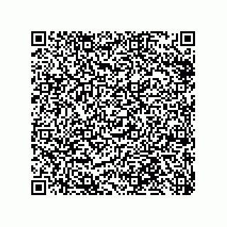 vCard 79999400398