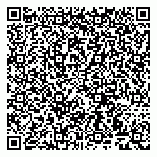 vCard 79999460013