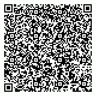 vCard 79999460113