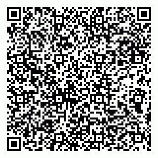 vCard 79999460133