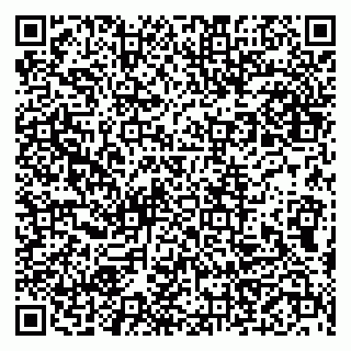 vCard 79999460138