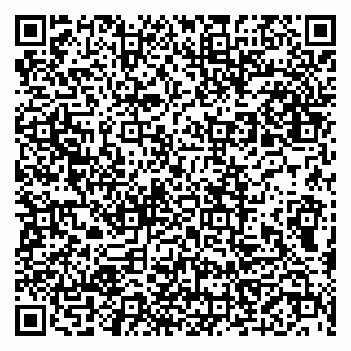 vCard 79999460198