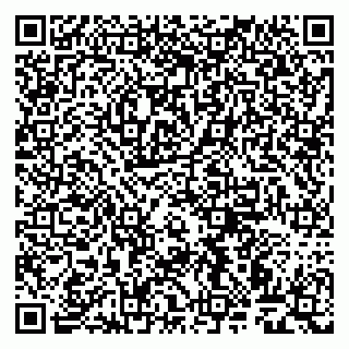 vCard 79999460233