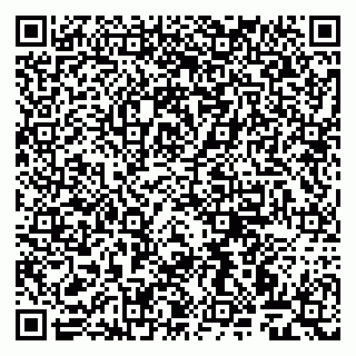 vCard 79999460245