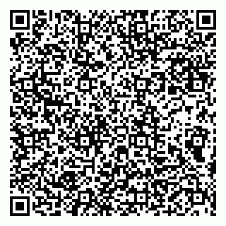 vCard 79999460288