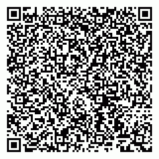 vCard 79999460293