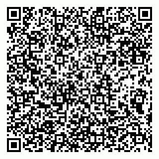 vCard 79999460301