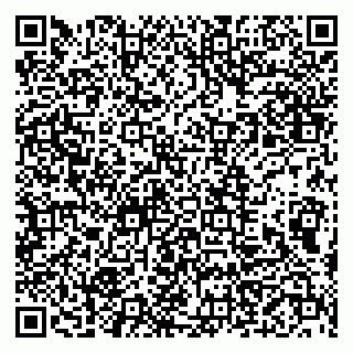 vCard 79999460303