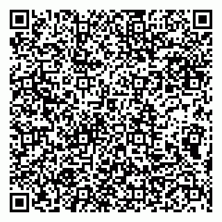 vCard 79999460304