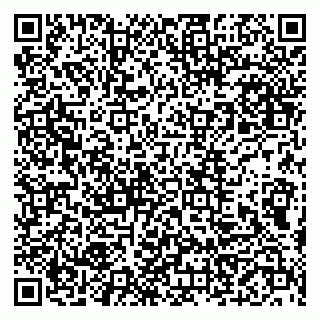 vCard 79999460313