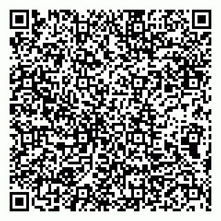 vCard 79999460325