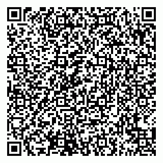 vCard 79999460331