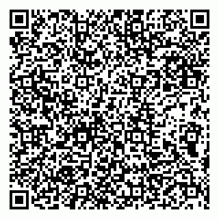 vCard 79999460333