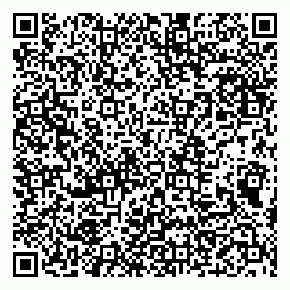 vCard 79999460345