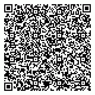 vCard 79999460352
