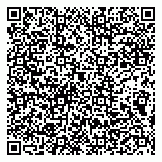 vCard 79999460369