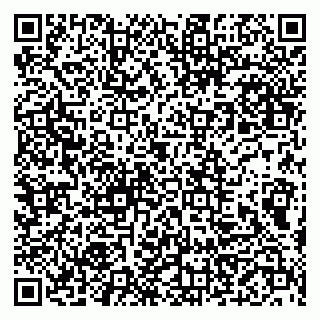 vCard 79999460382