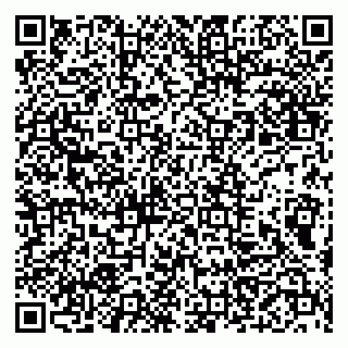 vCard 79999460383