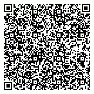 vCard 79999460384