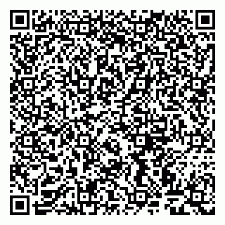 vCard 79999460387