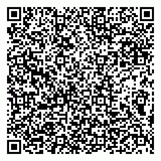 vCard 79999460393